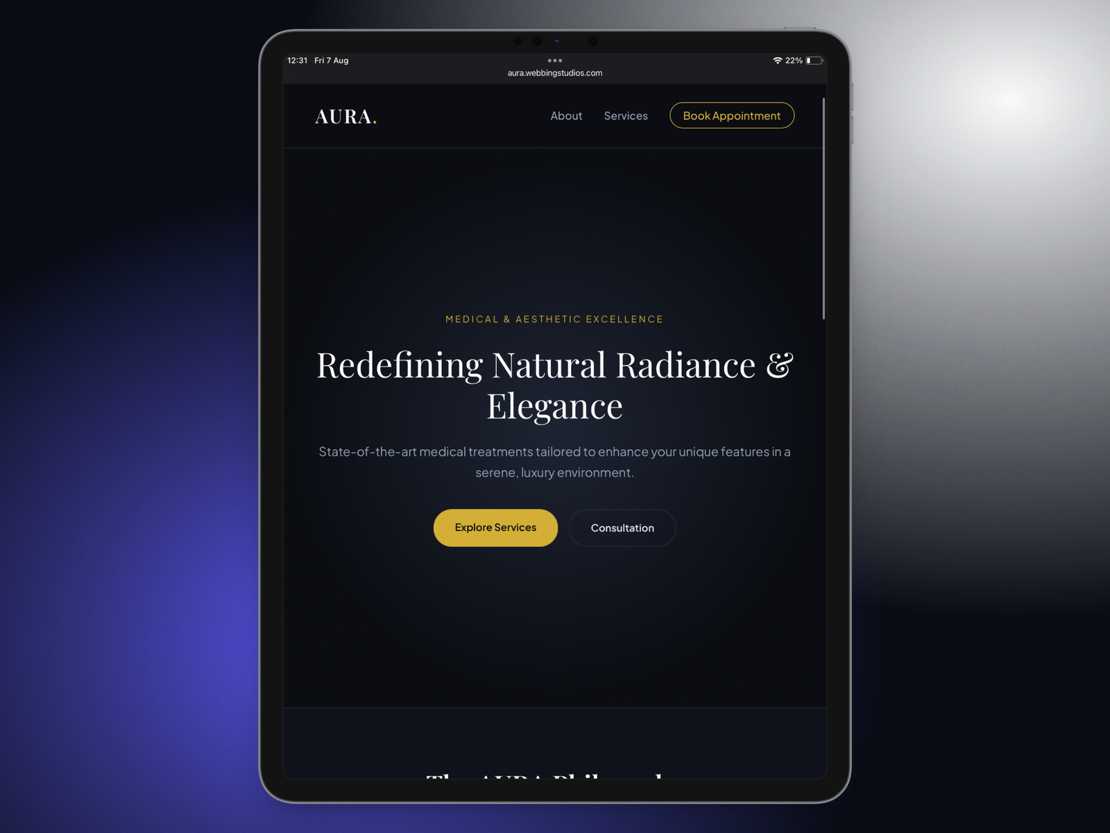 Professional website design project by Webbing Studios